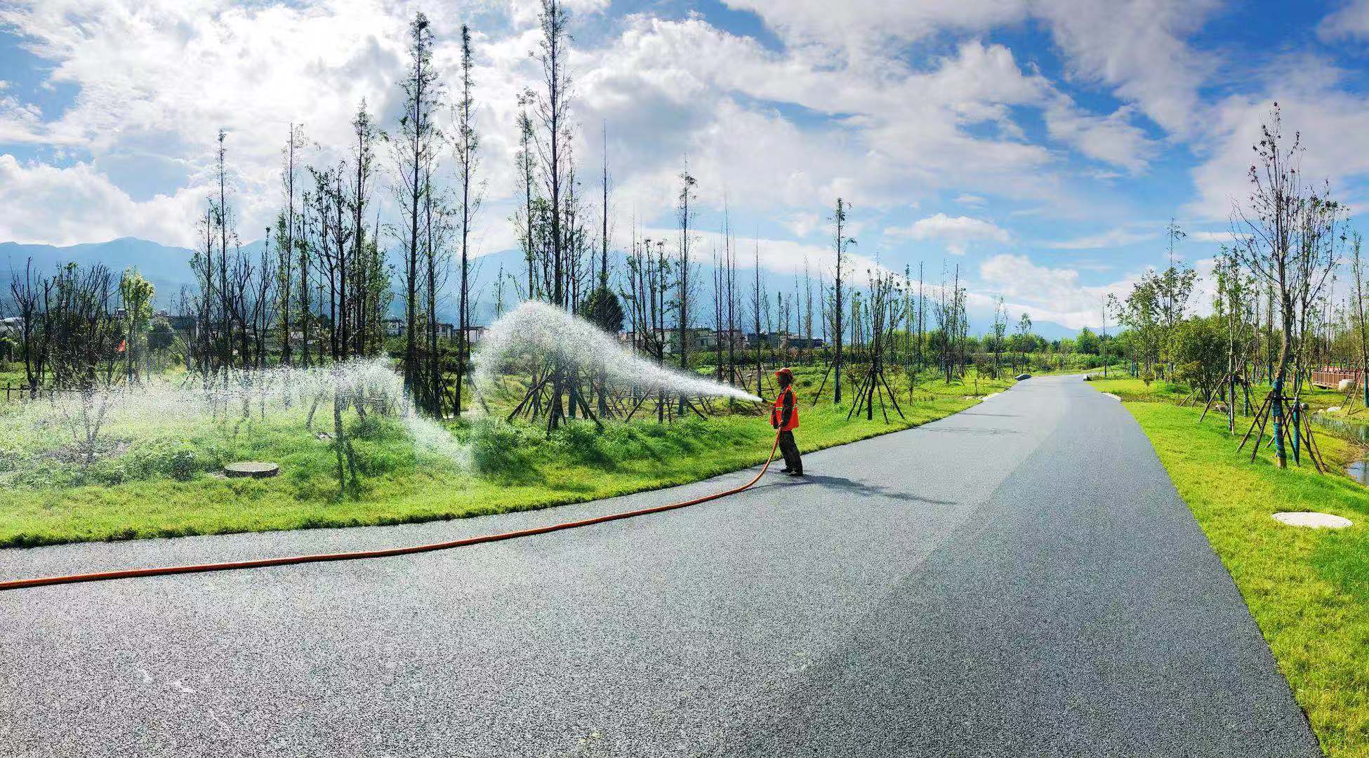 大理洱海生態(tài)修復(fù)工程1KM示范試驗(yàn)段