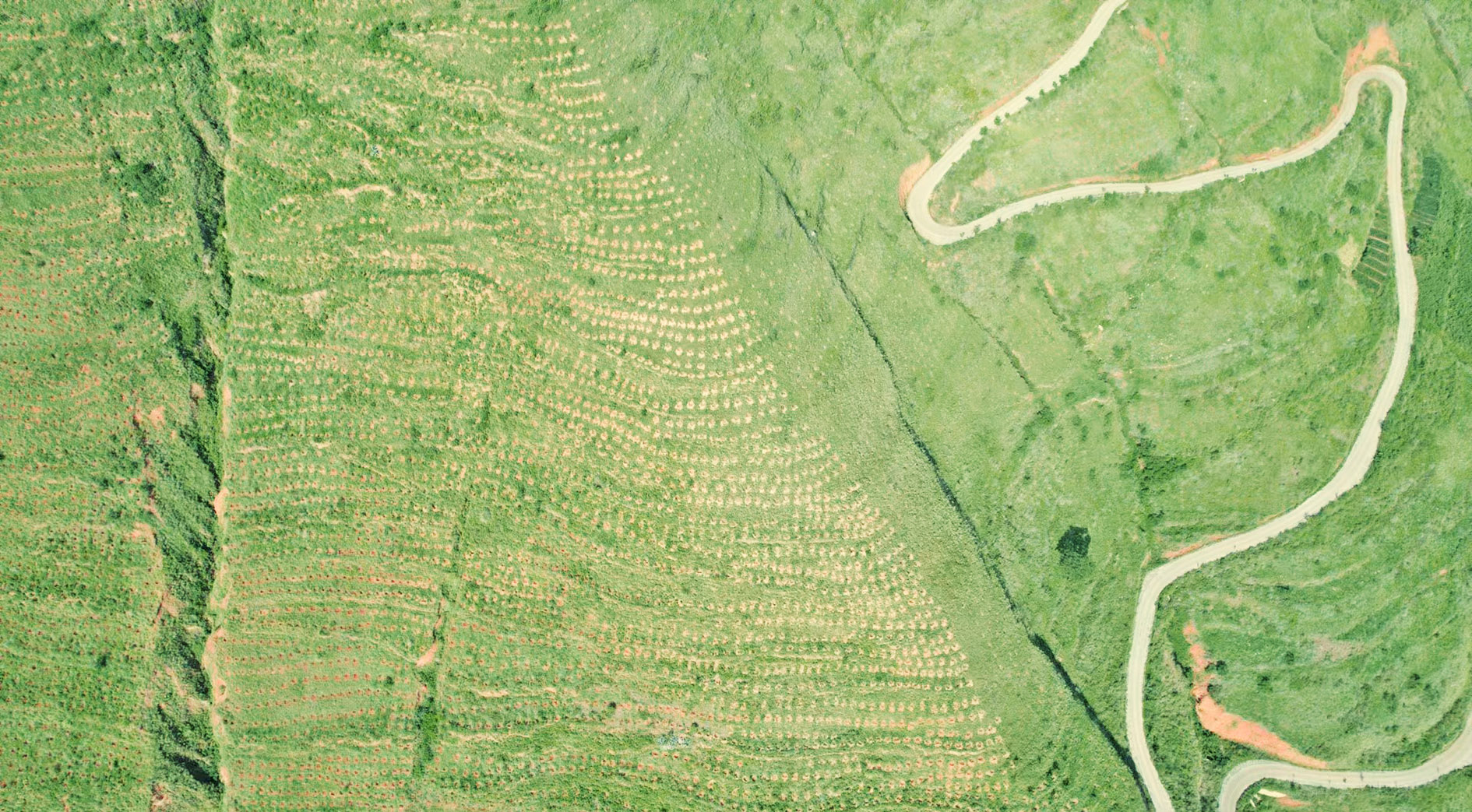 昆明市東川區(qū)林業(yè)生態(tài)修復(fù)PPP項(xiàng)目