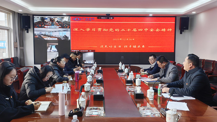 祁銳講授專題黨課 深刻領會黨的二十屆四中全會精神把握新機遇