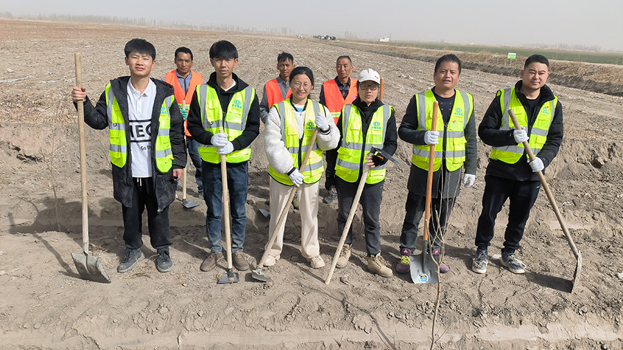 建設者化身種樹人 十四冶參加圖木舒克市義務植樹活動