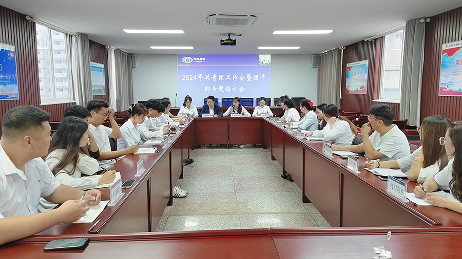 公司團(tuán)委召開2024年共青團(tuán)工作會(huì)暨團(tuán)干部專題培訓(xùn)會(huì)
